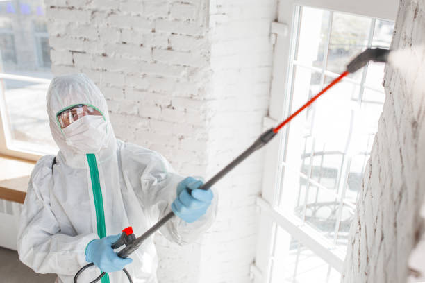 Best Forensic Mold Investigation  in Pinellas Park, FL