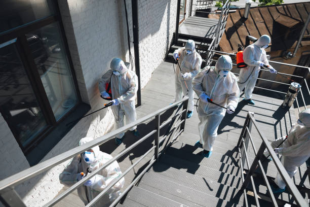 Best Crawl Space Mold Remediation  in Pinellas Park, FL