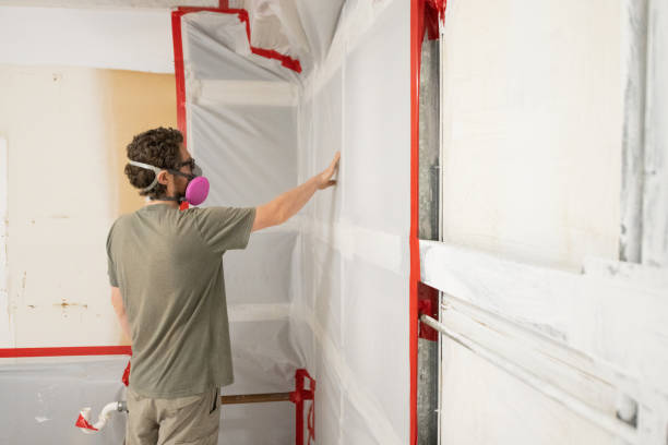 Best Dehumidification Services  in Pinellas Park, FL