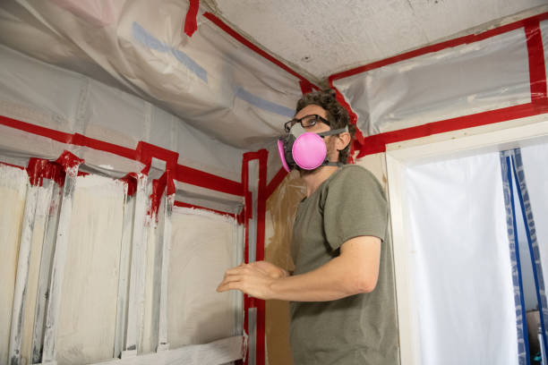 Reliable Pinellas Park, FL Mold Removal Solutions