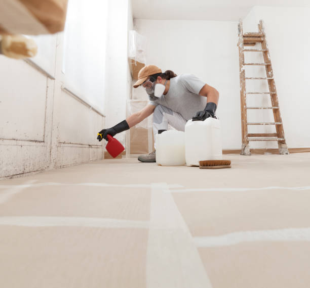 Best Mold Remediation for Healthcare Facilities  in Pinellas Park, FL